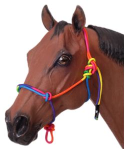 Details about   Tough 1 Rawhide Noseband Rope Halter with Lead