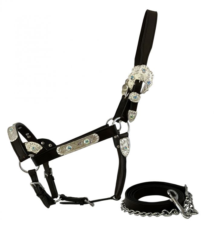 Horse size Silver Bar Show Halter with Matching Lead and iridescent stone  accents, Dark Oi Down Home Tack  Feed LLC