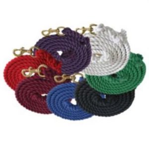DuMOR 1 In. X 10 Ft. Polyester Horse Lead With Bolt Snap, Solid At